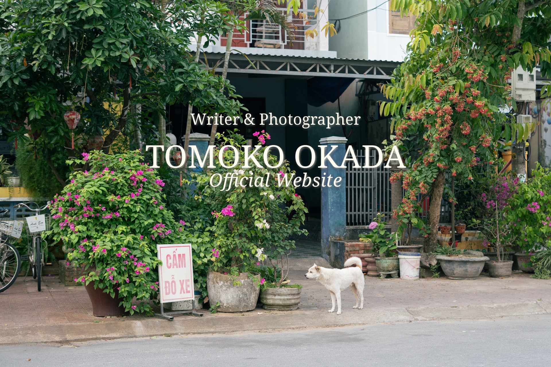 岡田知子OfficialSite